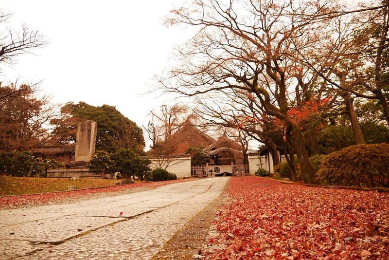 日本京阪奈自由行｜Day4