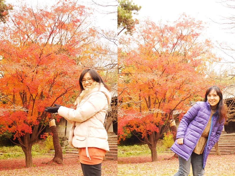 日本京阪奈自由行Day4