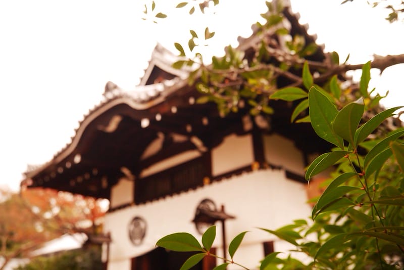 日本京阪奈自由行｜Day4