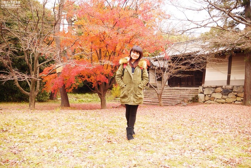 日本京阪奈自由行｜Day4