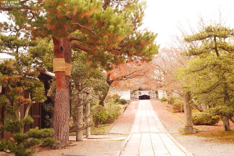 日本京阪奈自由行Day4