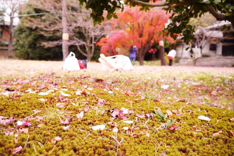 日本京阪奈自由行Day4