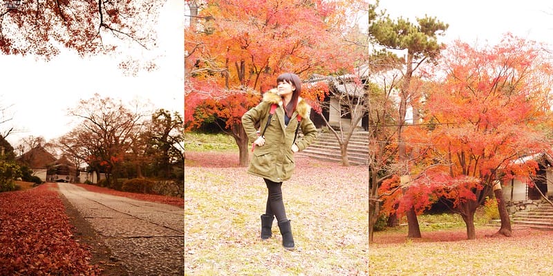 日本京阪奈自由行｜Day4