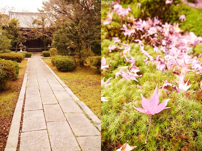 日本京阪奈自由行｜Day4