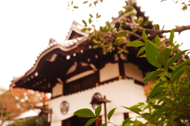 日本京阪奈自由行Day4