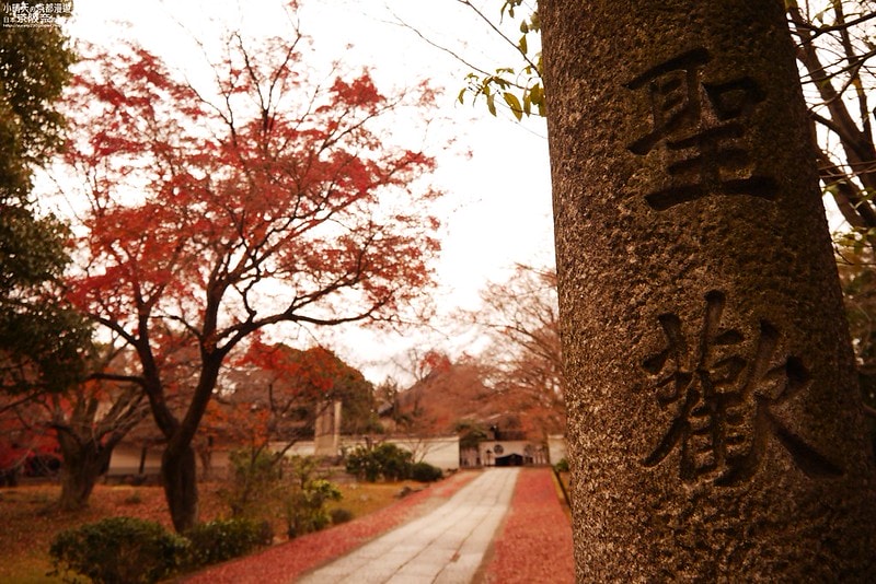 日本京阪奈自由行Day4