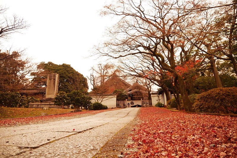 日本京阪奈自由行Day4