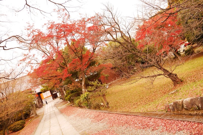 日本京阪奈自由行Day4