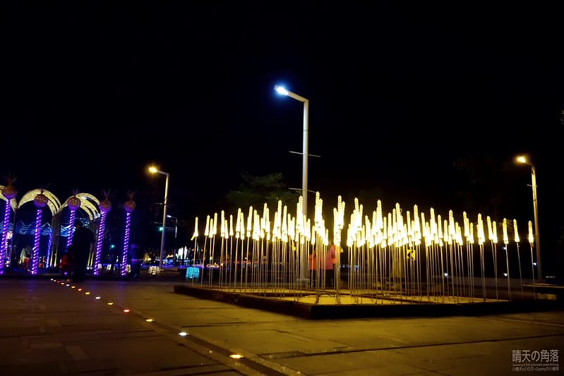 嘉義縣政府舉辦「故宮開嘉門、嘉藝賞燈趣」活動於19日點燈，最引人入勝的是「縣府3D光雕區」，不過，3D光雕秀僅到27日就結束，民眾須把握時間。  嘉義縣政府為迎接故宮南院開幕，於19日起，舉辦「故宮開嘉門、嘉藝賞燈趣」活動，共有8大主題燈區，賞燈區位於嘉義縣政府前及長達1公里的太子大道裝置展出，活動一直到明年元宵節。  其中的「縣府3D光雕區」是以3D雷射燈光投影，展示的「3D光雕秀」涵蓋嘉義的宗教、藝術及文化觀光等元素，如阿里山小火車穿越櫻花樹下美景畫面，縣府大樓化身為大型耶誕禮物裝飾，令觀看民眾嘆為觀