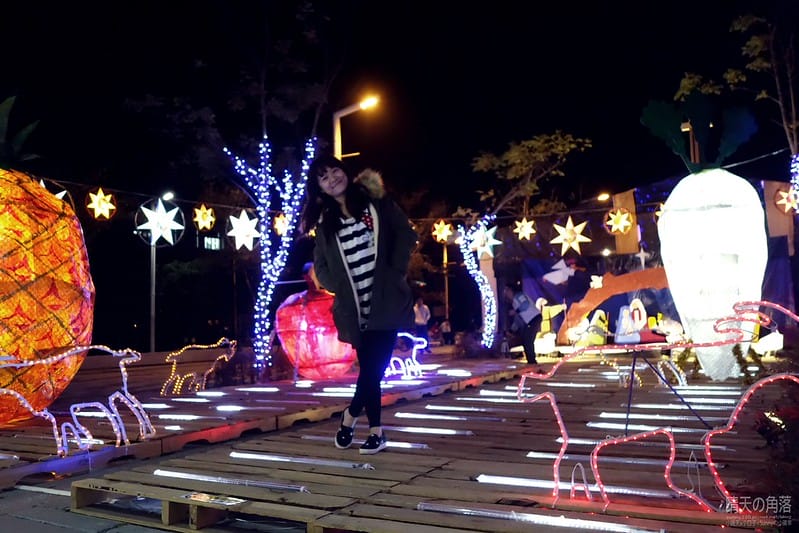 嘉義縣政府舉辦「故宮開嘉門、嘉藝賞燈趣」活動於19日點燈，最引人入勝的是「縣府3D光雕區」，不過，3D光雕秀僅到27日就結束，民眾須把握時間。  嘉義縣政府為迎接故宮南院開幕，於19日起，舉辦「故宮開嘉門、嘉藝賞燈趣」活動，共有8大主題燈區，賞燈區位於嘉義縣政府前及長達1公里的太子大道裝置展出，活動一直到明年元宵節。  其中的「縣府3D光雕區」是以3D雷射燈光投影，展示的「3D光雕秀」涵蓋嘉義的宗教、藝術及文化觀光等元素，如阿里山小火車穿越櫻花樹下美景畫面，縣府大樓化身為大型耶誕禮物裝飾，令觀看民眾嘆為觀