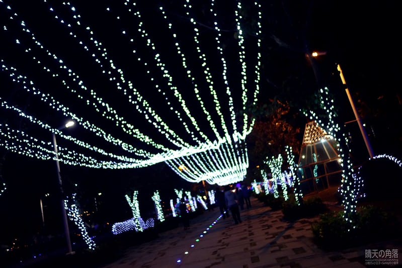 嘉義縣政府舉辦「故宮開嘉門、嘉藝賞燈趣」活動於19日點燈，最引人入勝的是「縣府3D光雕區」，不過，3D光雕秀僅到27日就結束，民眾須把握時間。  嘉義縣政府為迎接故宮南院開幕，於19日起，舉辦「故宮開嘉門、嘉藝賞燈趣」活動，共有8大主題燈區，賞燈區位於嘉義縣政府前及長達1公里的太子大道裝置展出，活動一直到明年元宵節。  其中的「縣府3D光雕區」是以3D雷射燈光投影，展示的「3D光雕秀」涵蓋嘉義的宗教、藝術及文化觀光等元素，如阿里山小火車穿越櫻花樹下美景畫面，縣府大樓化身為大型耶誕禮物裝飾，令觀看民眾嘆為觀