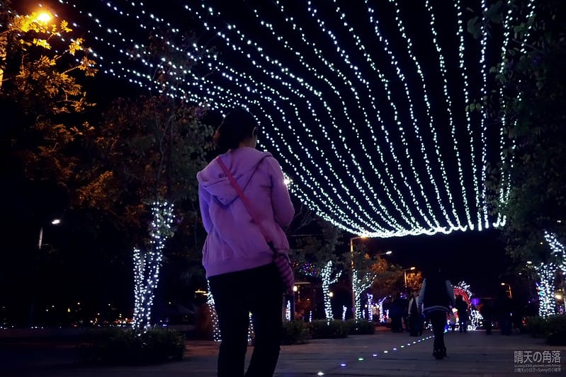 嘉義縣政府舉辦「故宮開嘉門、嘉藝賞燈趣」活動於19日點燈，最引人入勝的是「縣府3D光雕區」，不過，3D光雕秀僅到27日就結束，民眾須把握時間。  嘉義縣政府為迎接故宮南院開幕，於19日起，舉辦「故宮開嘉門、嘉藝賞燈趣」活動，共有8大主題燈區，賞燈區位於嘉義縣政府前及長達1公里的太子大道裝置展出，活動一直到明年元宵節。  其中的「縣府3D光雕區」是以3D雷射燈光投影，展示的「3D光雕秀」涵蓋嘉義的宗教、藝術及文化觀光等元素，如阿里山小火車穿越櫻花樹下美景畫面，縣府大樓化身為大型耶誕禮物裝飾，令觀看民眾嘆為觀