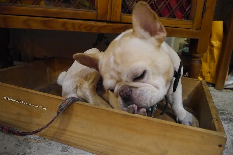 台南x中西區x國華街x美食x永樂市場x小滿食堂