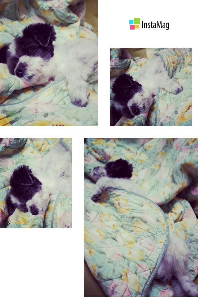 222016(2)最想念的味道