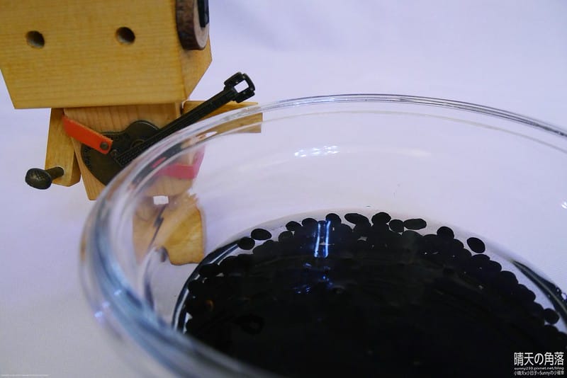 黑豆料理｜煲湯｜黑豆排骨湯