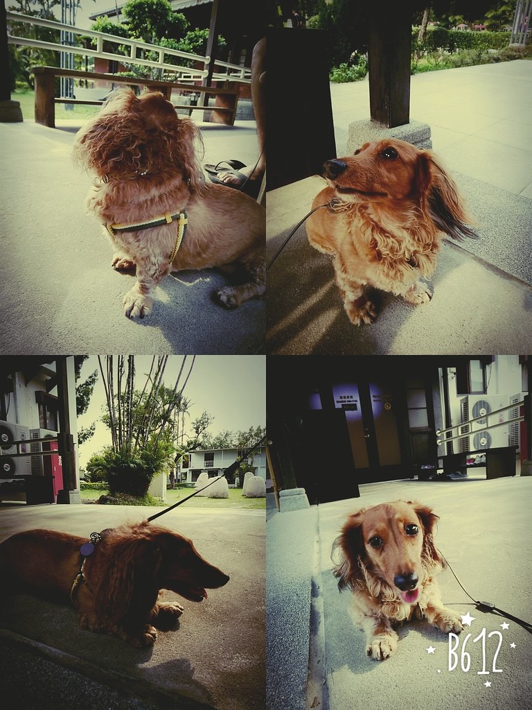 總爺藝文中心2016台灣陶藝學會大展