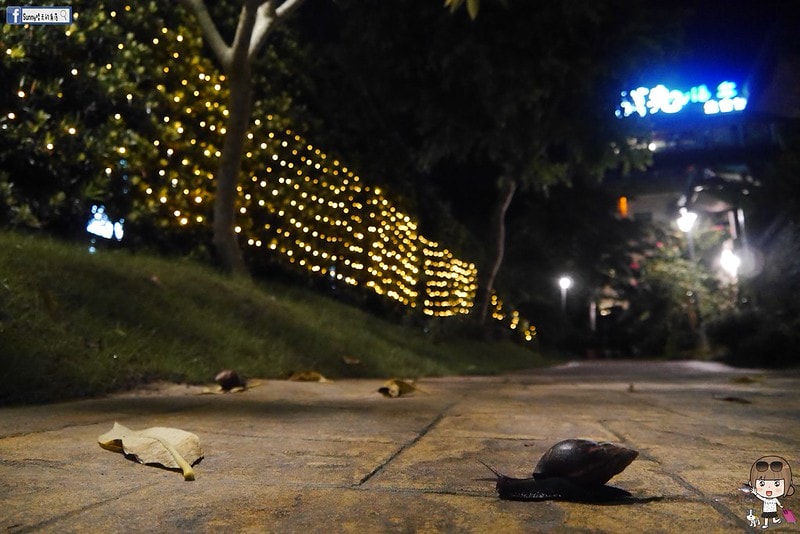 宜蘭 礁溪住宿 雅閣日式湯屋