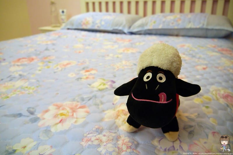 HOYA竹纖維空調軟蓆三件組(雙人)