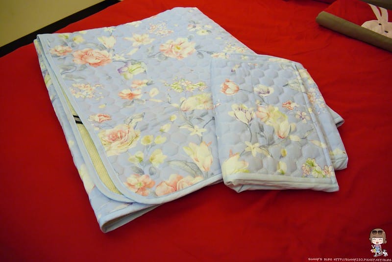 HOYA竹纖維空調軟蓆三件組(雙人)