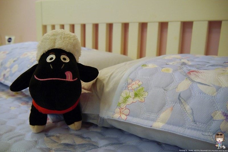 HOYA竹纖維空調軟蓆三件組(雙人)