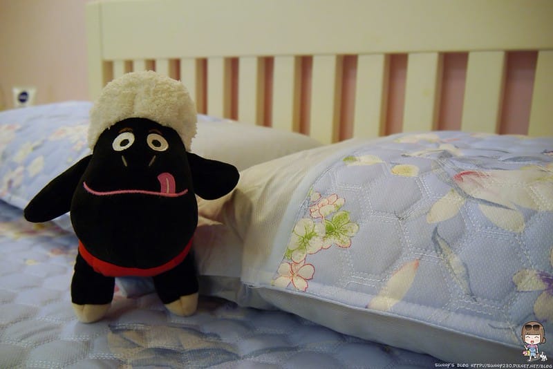 HOYA竹纖維空調軟蓆三件組(雙人)