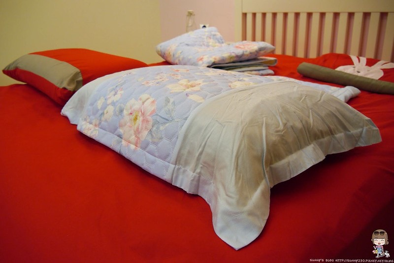 HOYA竹纖維空調軟蓆三件組(雙人)