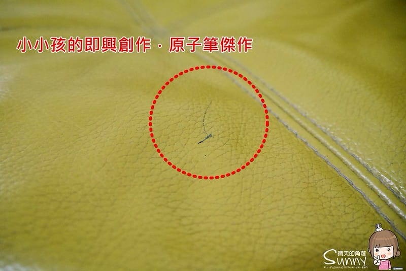 到府清潔x沙發清潔(皮沙發清潔初體驗)