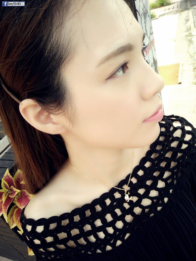 Sunnyの南故宮週邊美食地圖