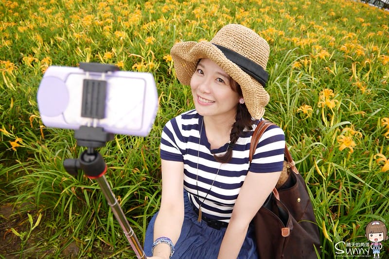 2016｜花蓮．六十石山金針花