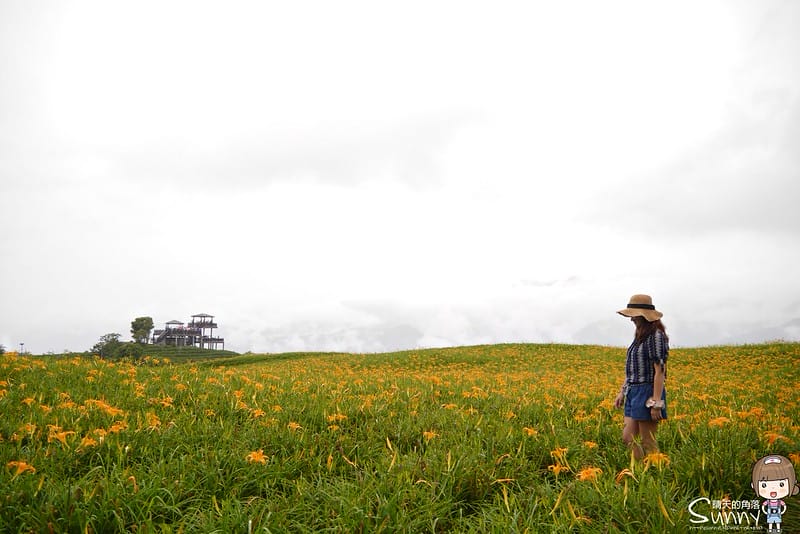 2016｜花蓮．六十石山金針花