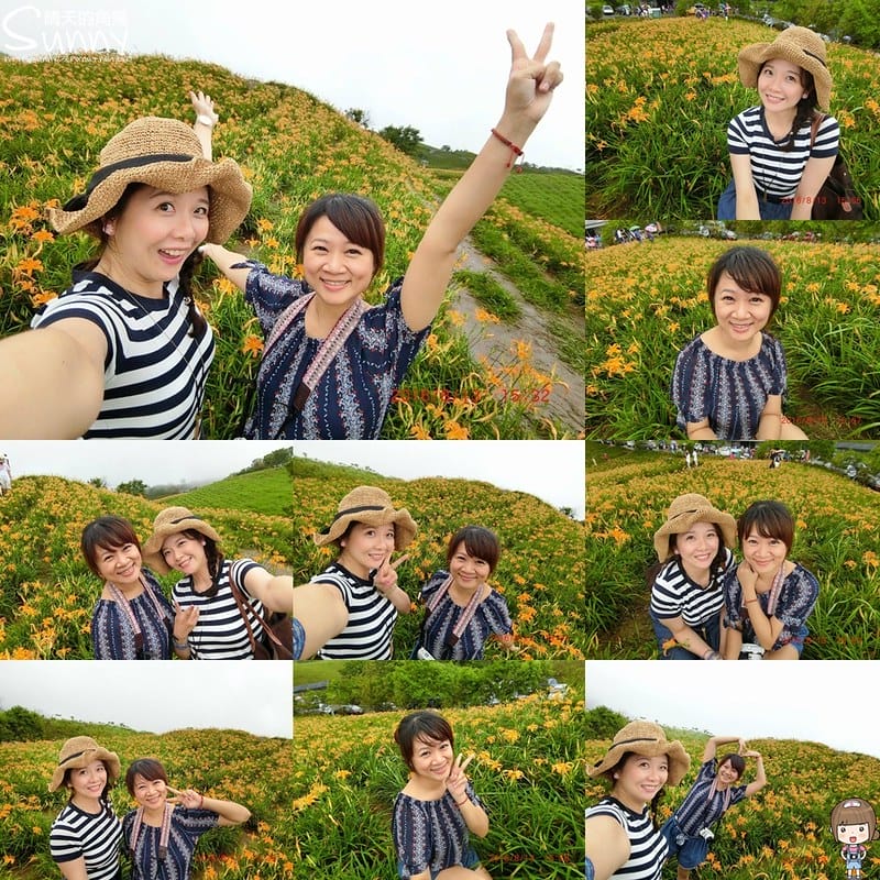 2016花蓮自由行｜一輩子要去看一次黃金海❤六十石山金針花(8/13花況)