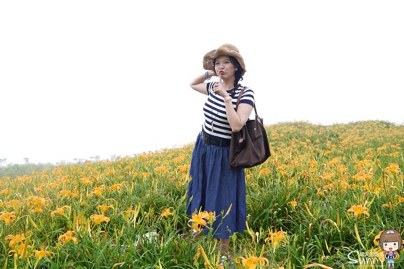 2016｜花蓮．六十石山金針花