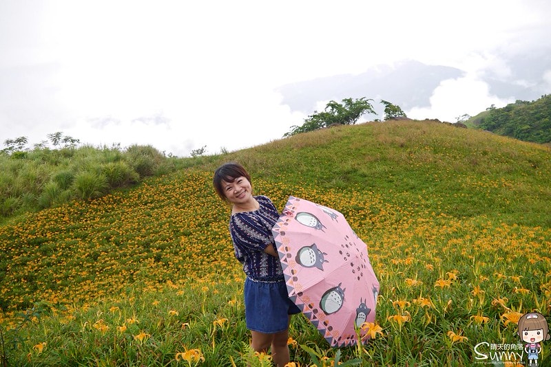 2016花蓮.六十石山金針花