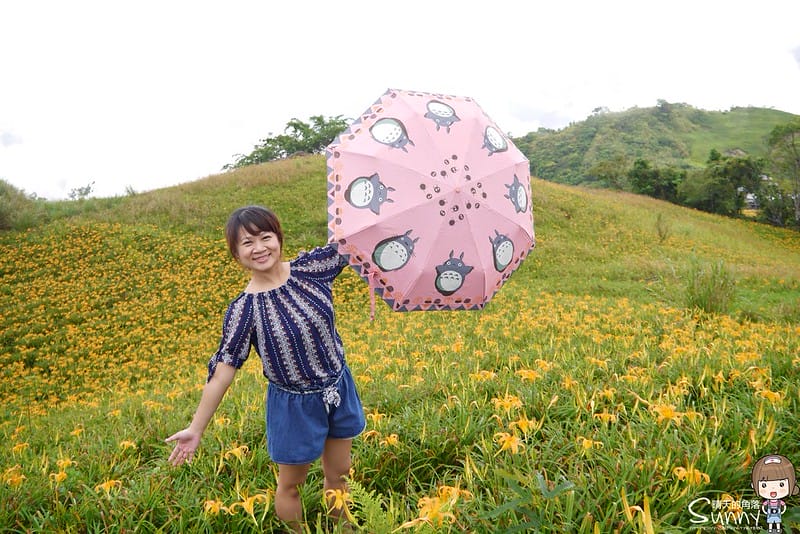 2016｜花蓮．六十石山金針花