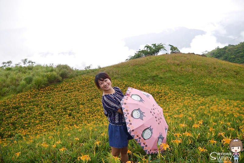 2016｜花蓮．六十石山金針花