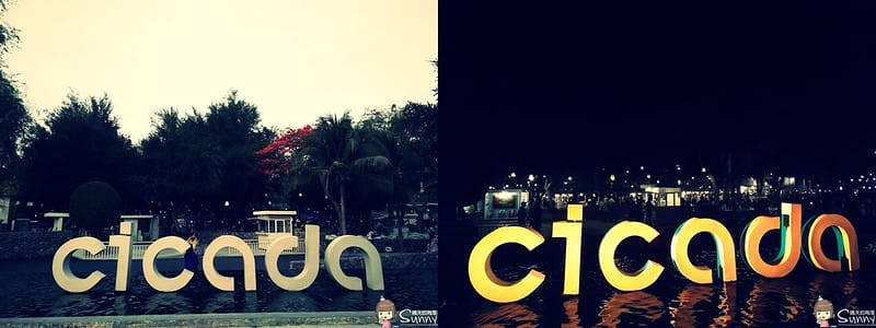 創意市集 CICADA MARKET