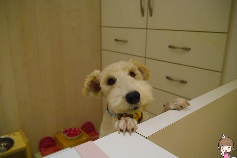 嘉義太保蜜蠟除毛初體驗｜腋毛、手毛腳毛、多處除毛