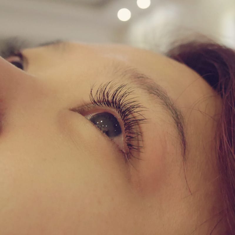 goMeihuaTemp_mh1481452754682