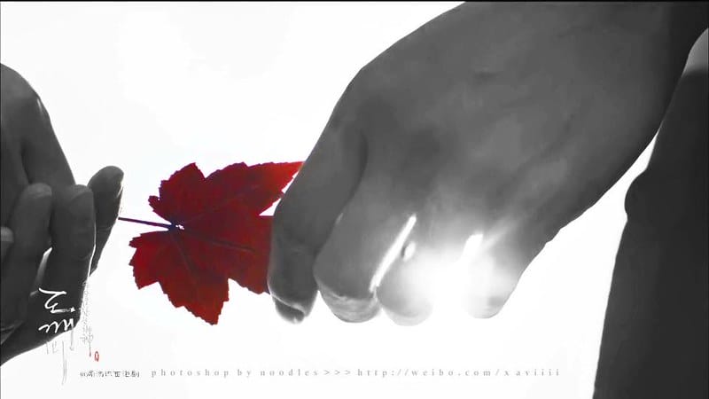 孤單又燦的神－鬼怪