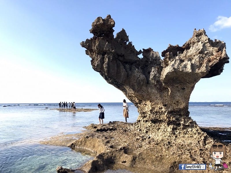 20170305_170305_0221