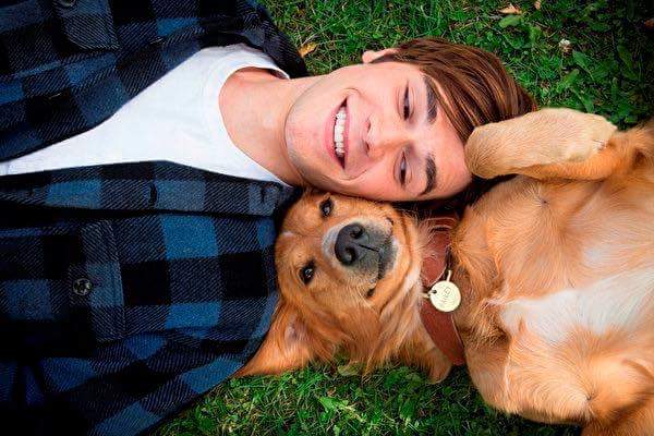 一條狗的使命，只為與你相遇