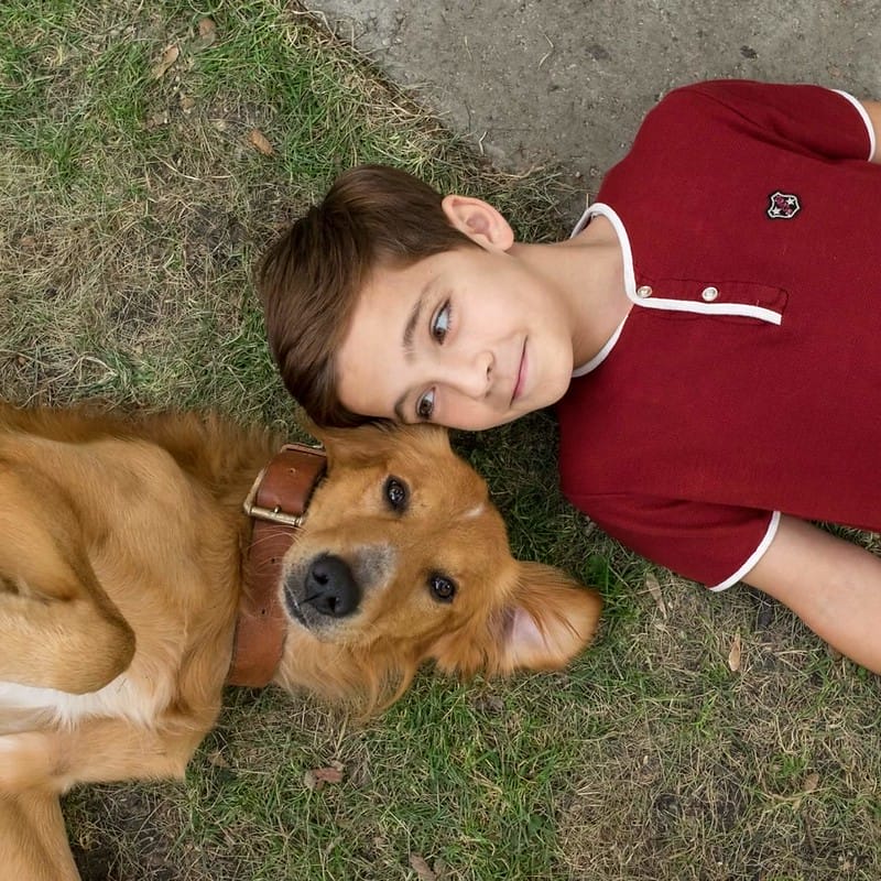 一條狗的使命，只為與你相遇