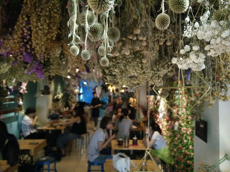 嘉義x風箏旅人|乾燥花天堂x下午茶/鬆餅/背包旅社