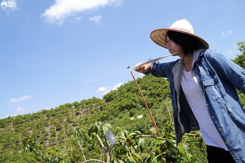 2017酒窩小姊台南玉井芒果小旅行