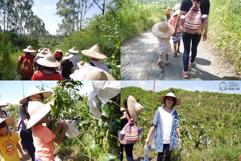 2017酒窩小姊台南玉井芒果小旅行