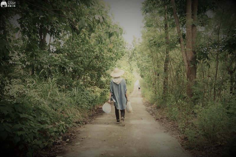 2017酒窩小姊台南玉井芒果小旅行