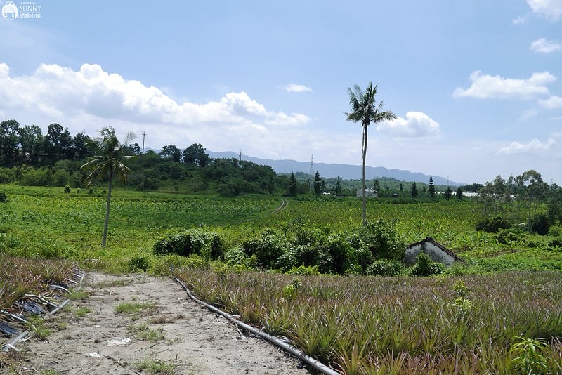 2017酒窩小姊台南玉井芒果小旅行