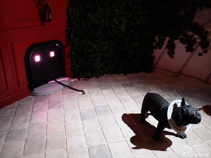 愛馬仕奇境漫遊展覽