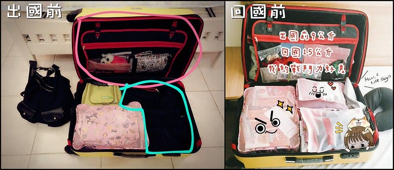 回國行李