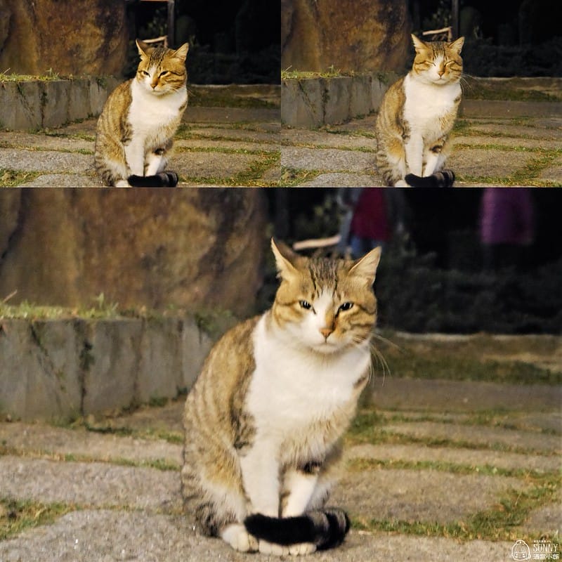 南投住宿 日月潭住宿 埔里住宿 魚池鄉住宿